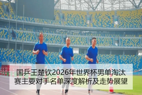 国乒王楚钦2026年世界杯男单淘汰赛主要对手名单深度解析及走势展望